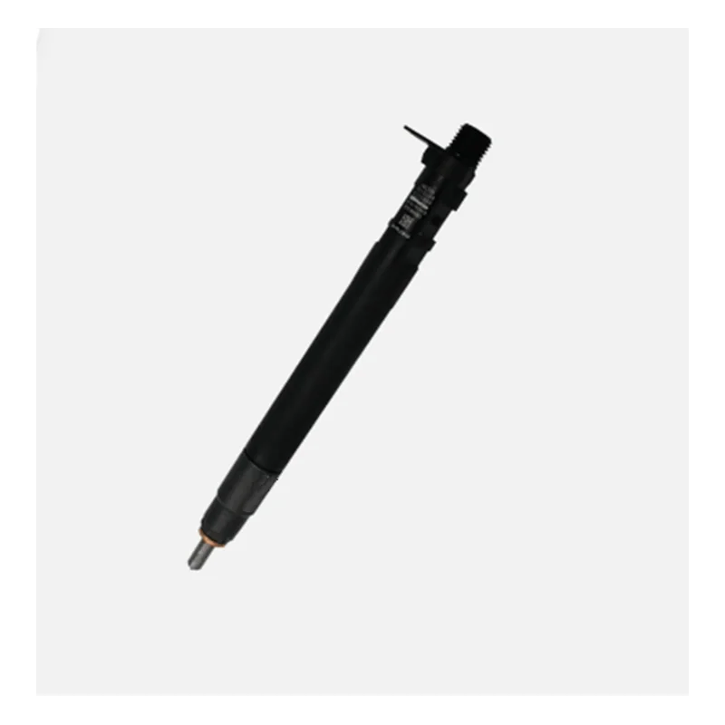 Injecteur DELPHI EMBR00101D R00101DP 2.0 HDi 2.0 TDCi