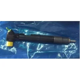 Injecteur delphi 28342997 A6510700587 EMBR00002D