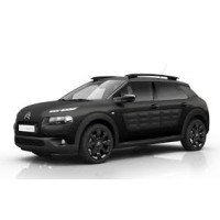 Injecteurs Citroen C4 Cactus 1.5 Blue hdi Neufs ou Reconditionnés