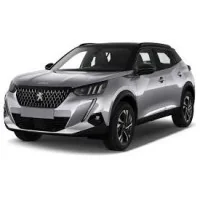 Injecteurs Peugeot 2008 2.0 Hdi Reconditionnés | Injecteurland