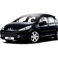 Injecteur Peugeot 307 | 1.4, 1.6 & 2.0 HDi | Bosch & Siemens