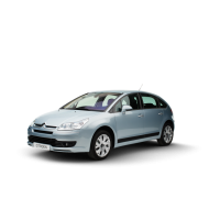 Injecteurs Citroën C4 1.6 Hdi 2.0 Hdi Bosch Siemens Continental