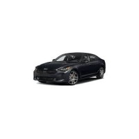 Injecteur Kia Stinger 2.2 CRDi | Bosch Neuf 0445110584