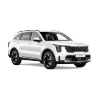 Injecteur Kia Sorento 2.5 CRDi | Bosch 0445110275 0445110186